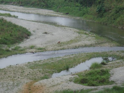 River Murti