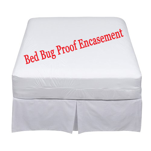 Bed Bugs Toronto - Toronto Bed Bugs Help: Bed bug mattress covers ...