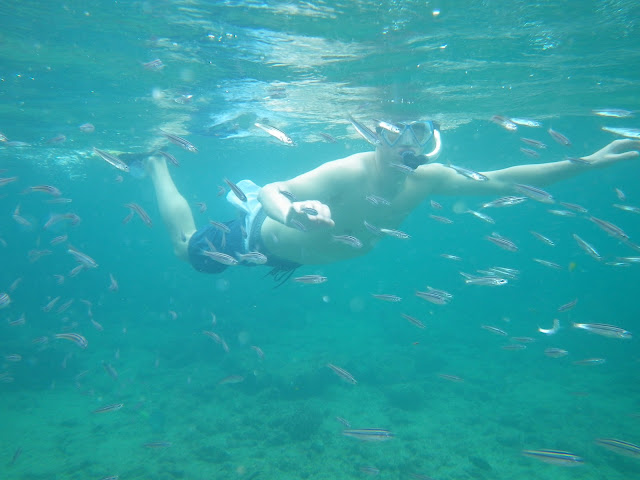 snorkeling in Galapagos