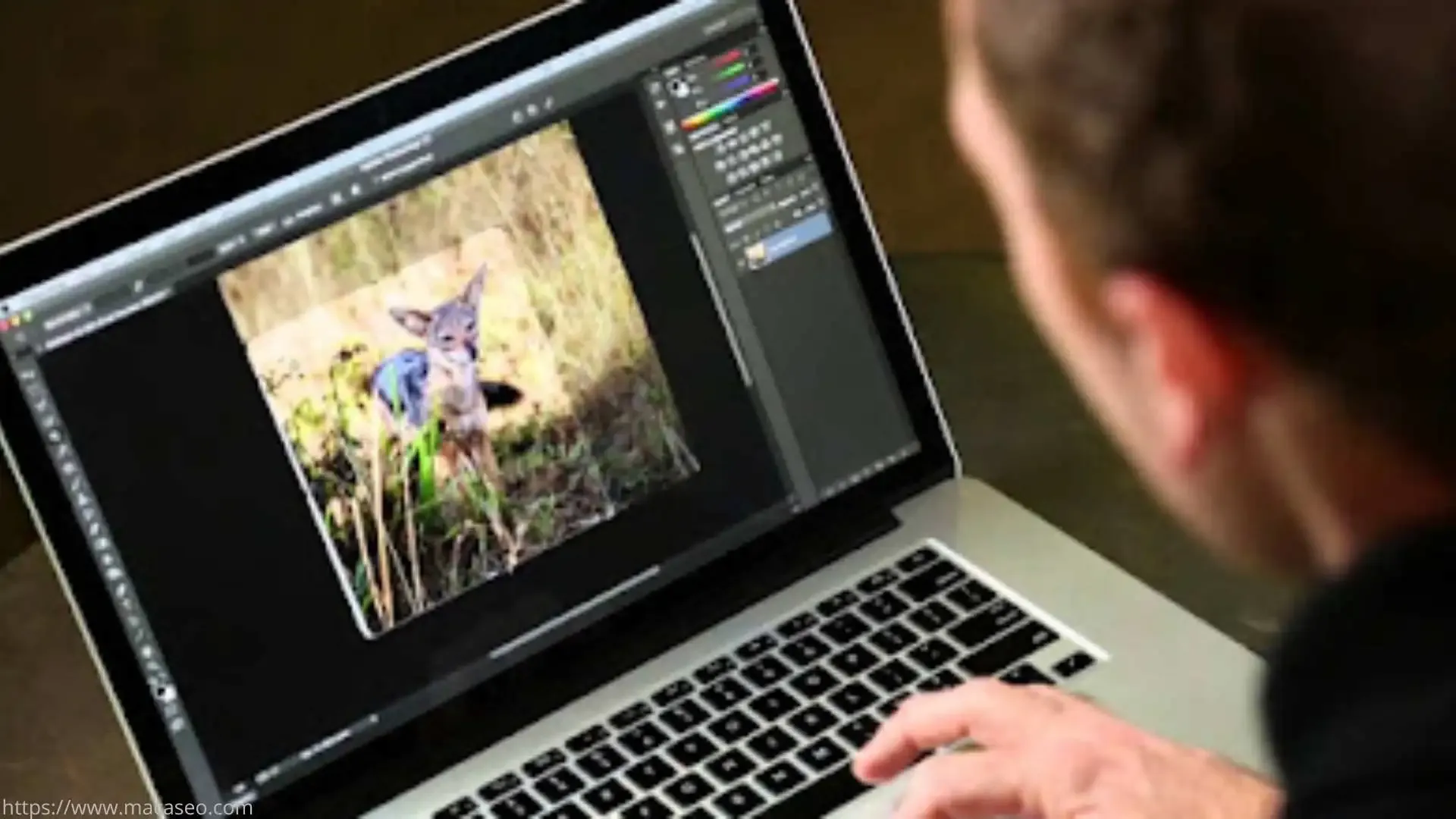 Tools Photoshop yang sering digunakan