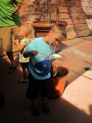 IMG_9544 IMG_9544