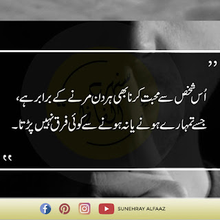 urdu quotes