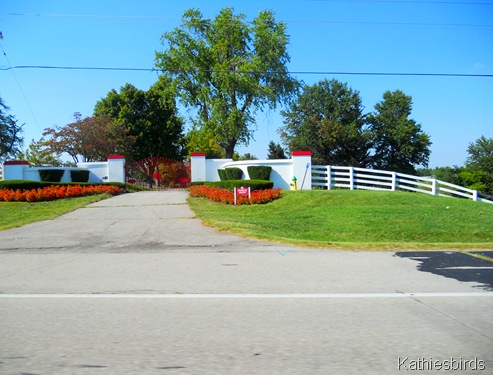 8. lexinton-kab