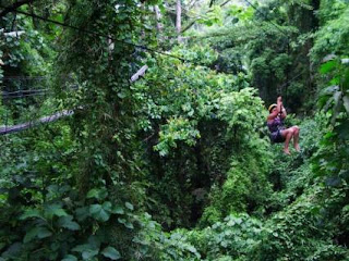 Zipline at the Macahambus Adventure Park