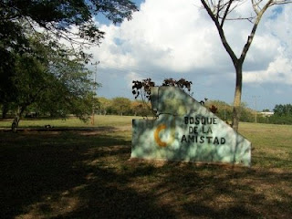 Bosque (cartel)