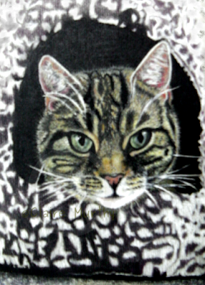 Pet portrait of a cat in pastels. Kent, Surrey, Sussex, London.