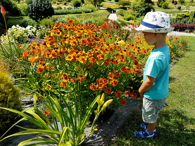 Rodzinne atrakcje na Dolnym Śląsku - Arboretum w Wojsławicach - podróże z dzieckiem. 