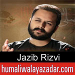 https://www.humaliwalayazadar.com/2020/01/jazib-rizvi-ayyam-e-fatima-noha-2020.html