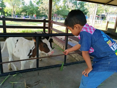 MILKINDO KEPANJEN