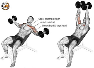 Pump Up Your Chest with the Best Dumbbell Exercises!