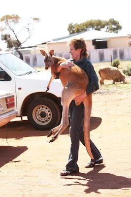 Pet Kangaroo Seen On www.coolpicturegallery.us