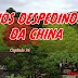 Capítulo 26 - Nos Despedindo da China