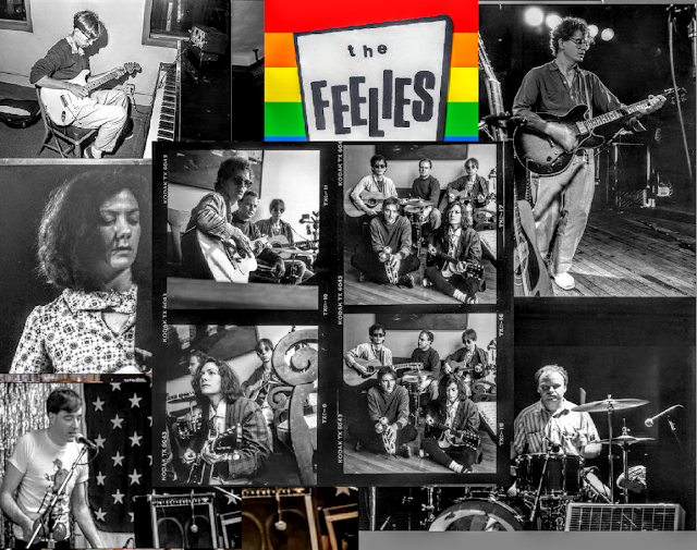 the FEELIES