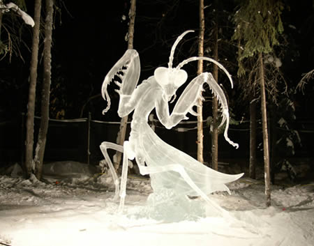 ice and snow sculptures picture