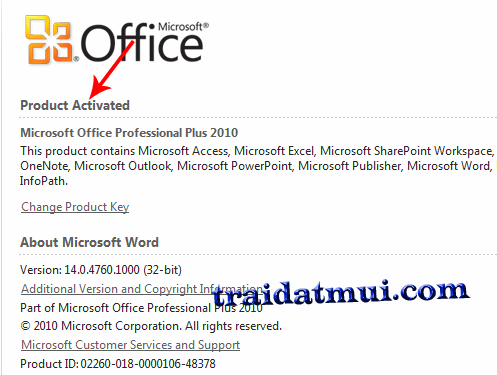 Hướng dẫn cài đặt và crack Microsoft Office Professional Plus 2010