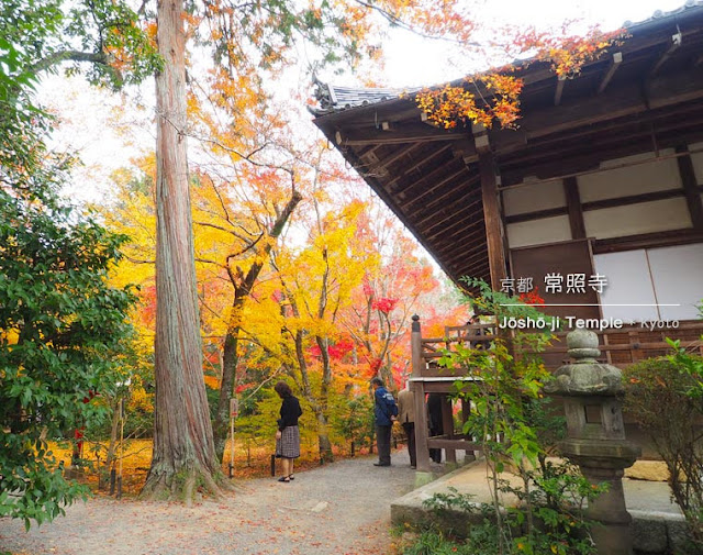 [京都] 常照寺の紅葉