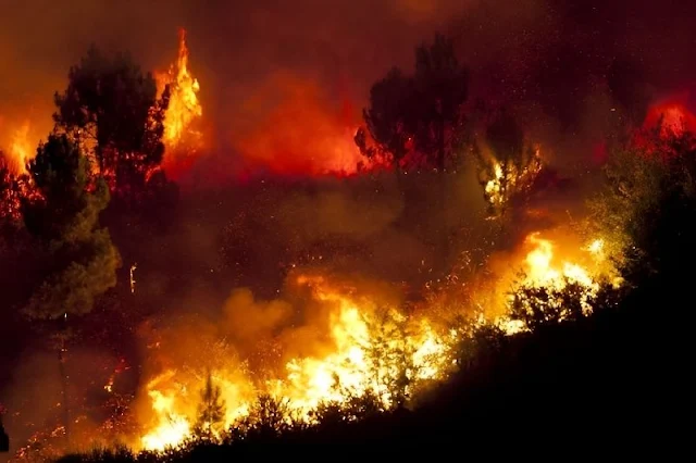 Desentrañando el misterio de la última extinción masiva: cómo los incendios forestales y los humanos desencadenaron la desaparición de los gigantes del pasado y las lecciones para el futuro medioambiental