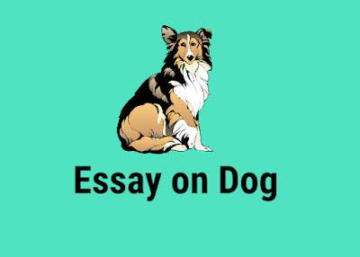 Short Essay on Dog in English