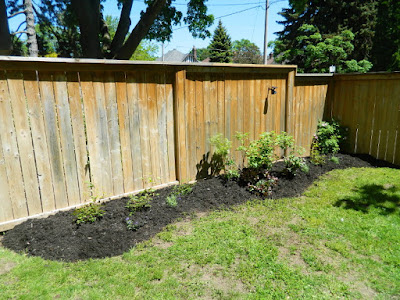 Toronto Leaside new side garden bed installation after by Paul Jung Gardening Services