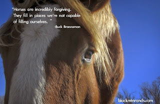 Horse Quotes