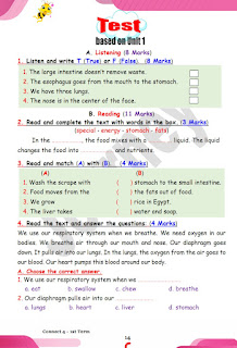 امتحانات لغة انجليزية الصف الرابع الابتدائى الترم الأول journey model exams connect 4