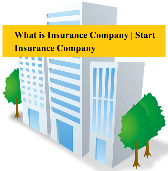 What is Insurance Company - Start Insurance Company