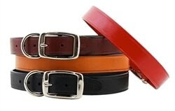 Dog Collars - Posh Puppy Boutique