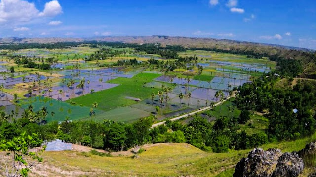 Bukit Persaudaraan di Kabupaten Sumba Timur, Provinsi Nusa Tenggara Timur