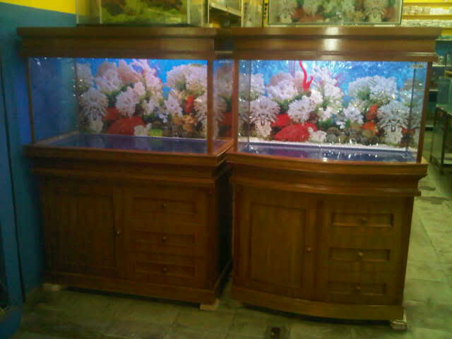  jual  Aquarium murah