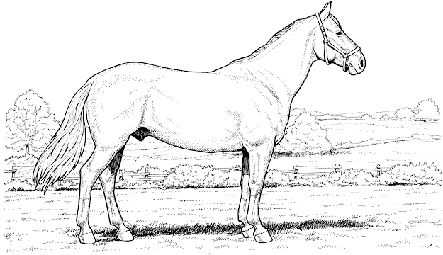 Horse Jumping Coloring Page