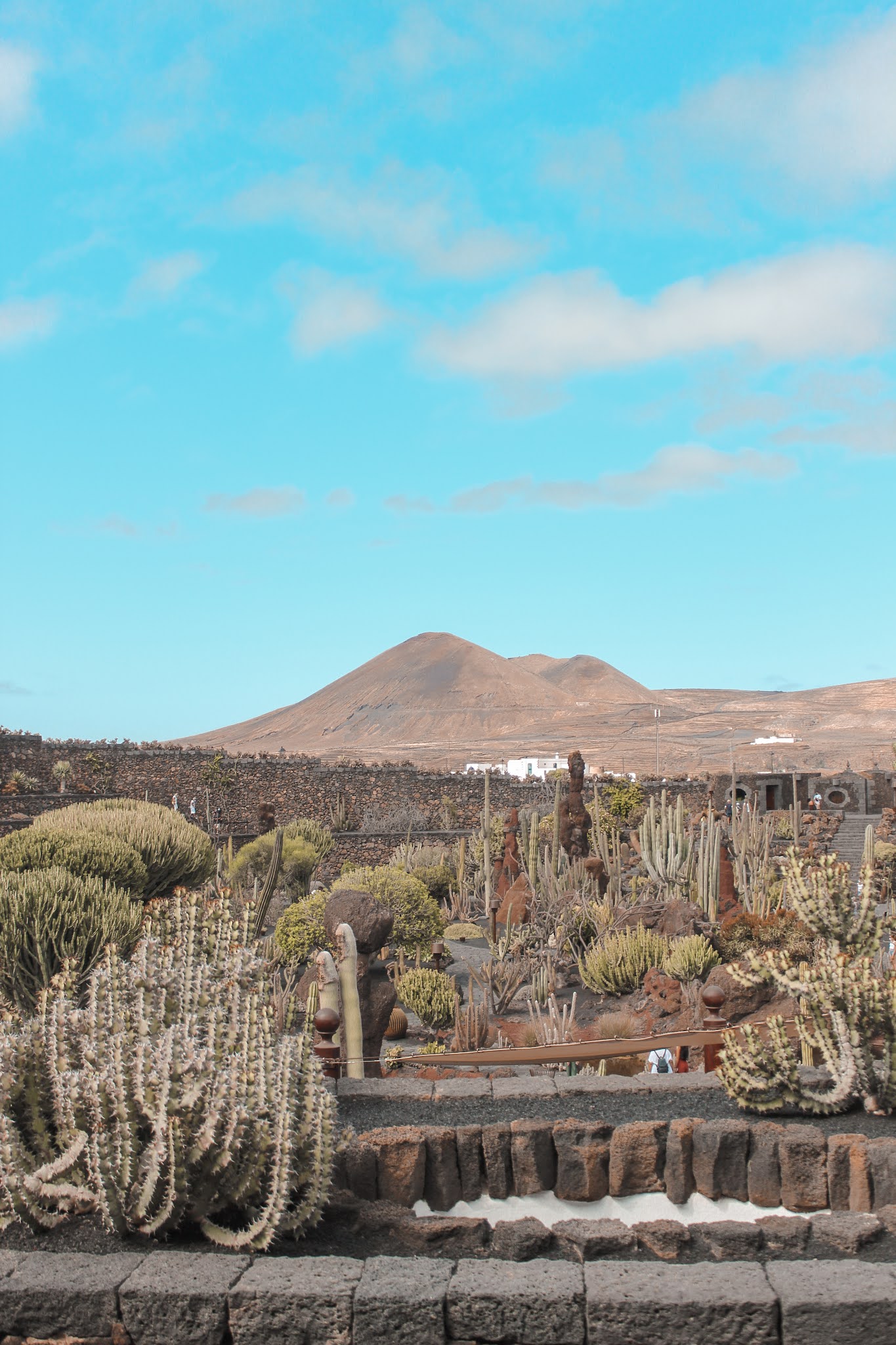 que-ver-lanzarote-jardín-de-cactus-cesar-manrique