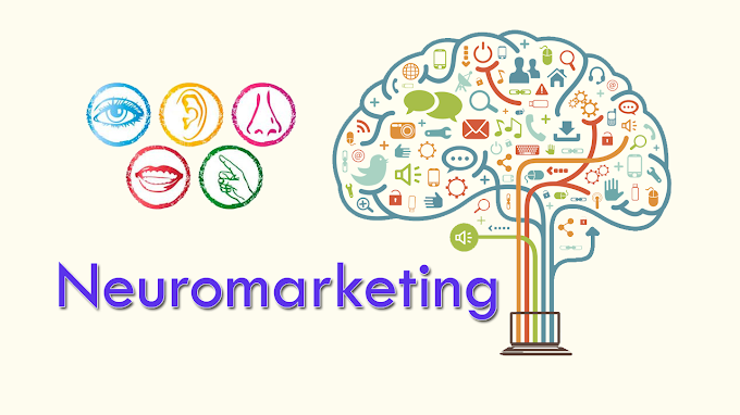 Neuromarketing: el cerebro del consumidor (Psicología)