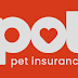 Elevate Your Pet's Care: A Comprehensive Look at Spot Pet Insurance
