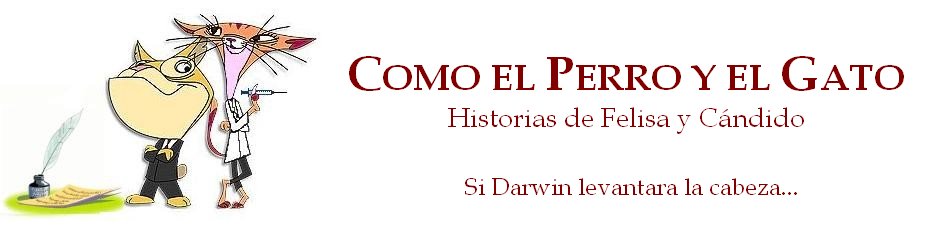 Como Perros y Gatos