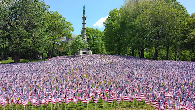 flag garden - view 5