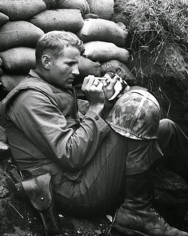 20+ Photos That Will Restore Your Faith In Humanity - Soldier Rescuing A Kitten In Korea