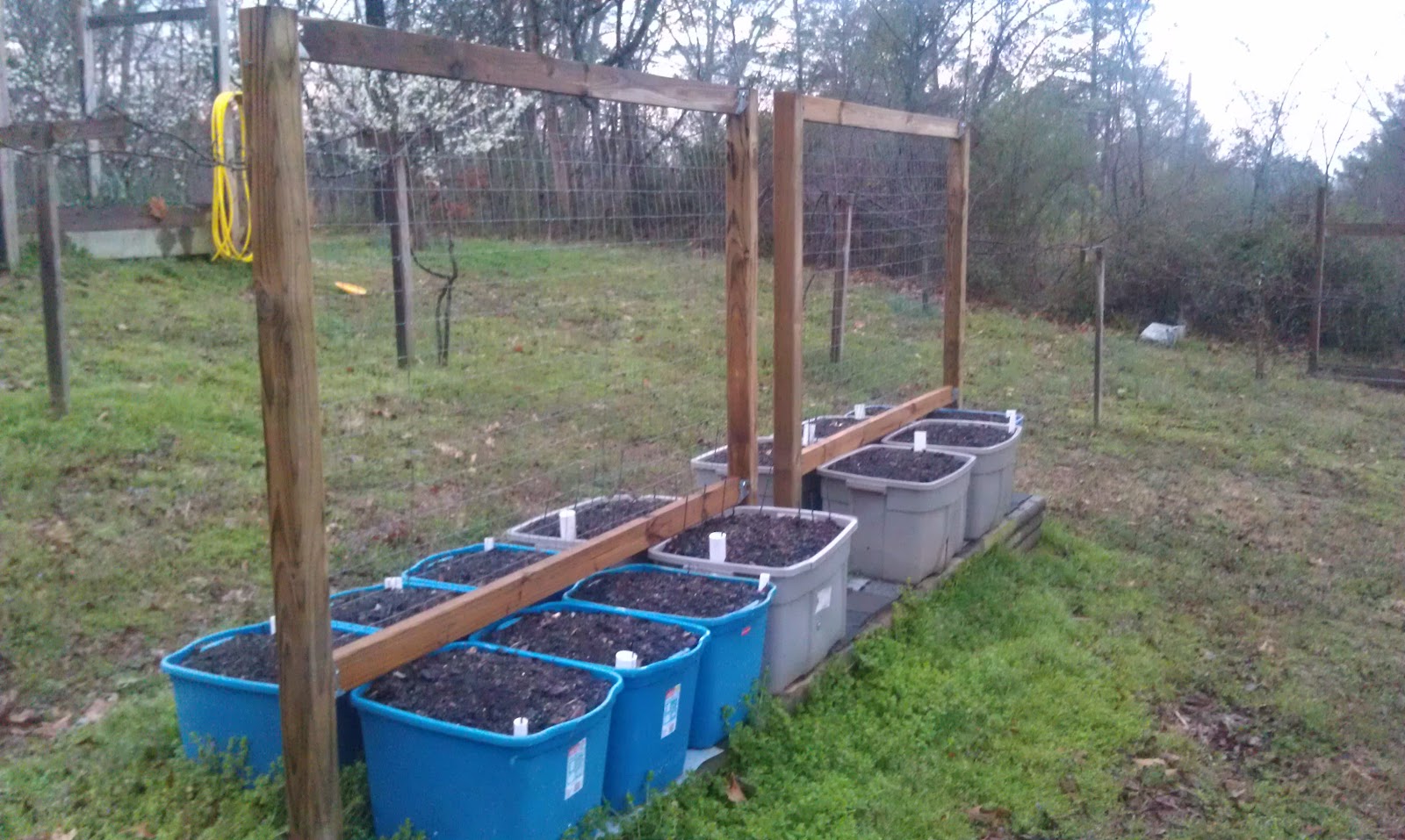 Self Watering Planters