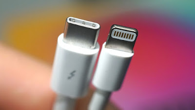 Apple puerto Lightning USB