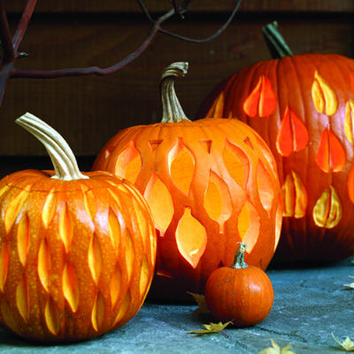 elegant carved pumpkins pics