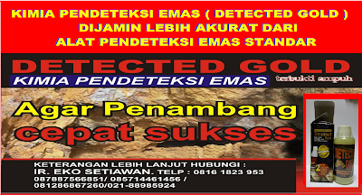 JUAL ALAT PENDETEKSI EMAS EMAS