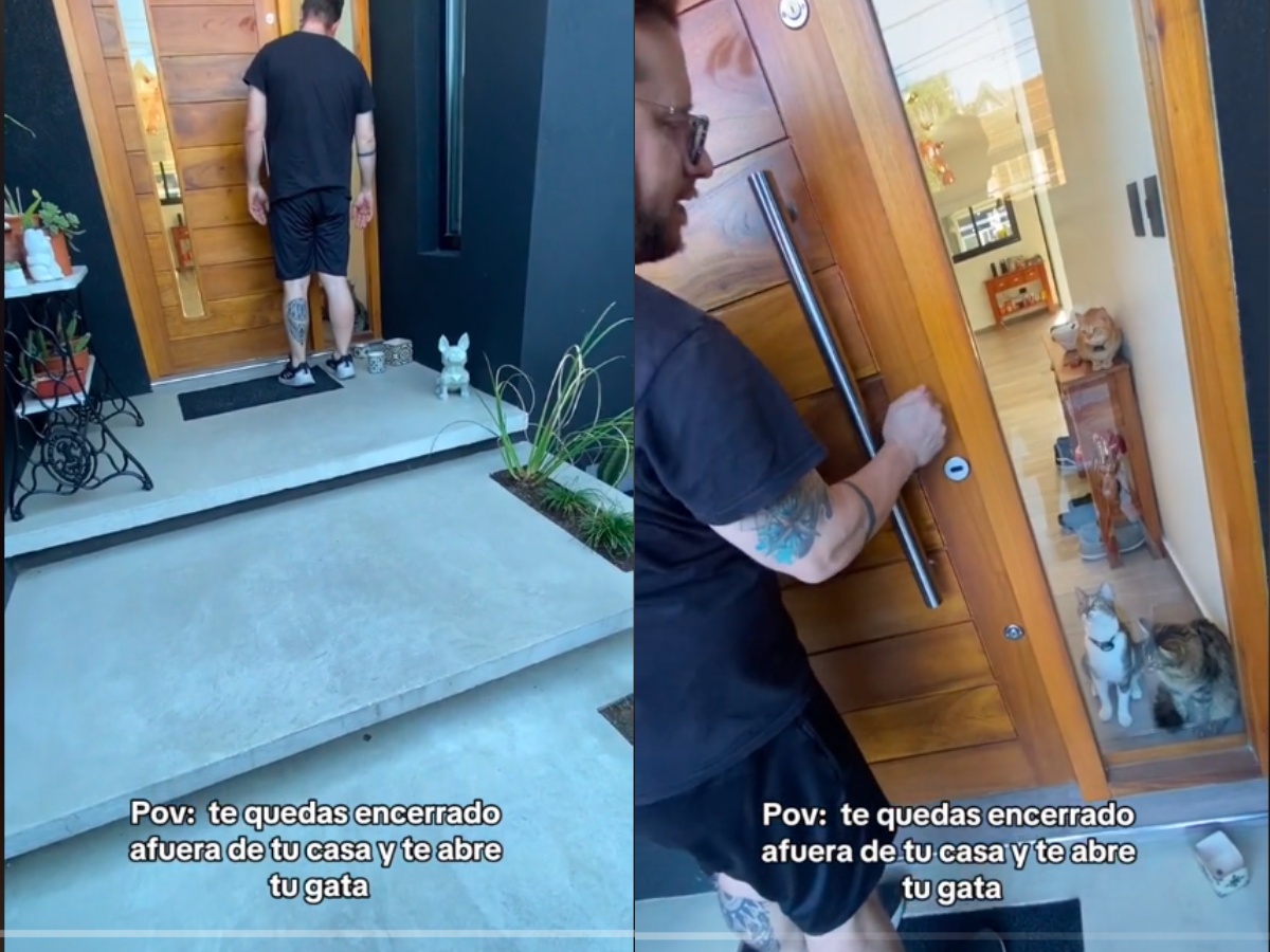 man begging his cats to let him in