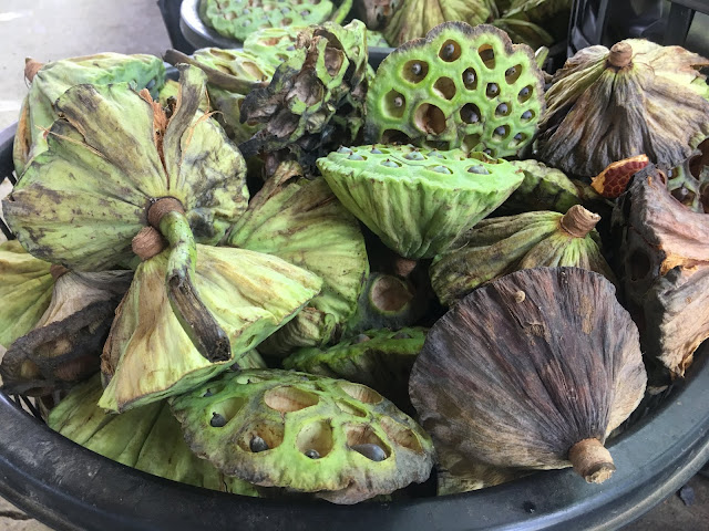 lotus seeds, baihe, tainan, taiwan