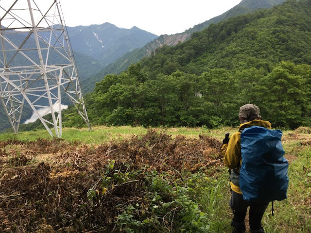 ヒメサユリの咲く南岳への稜線