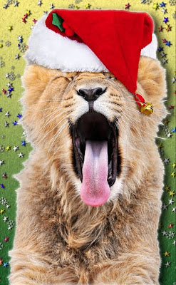 Animals as Santa Claus Seen On www.coolpicturegallery.net