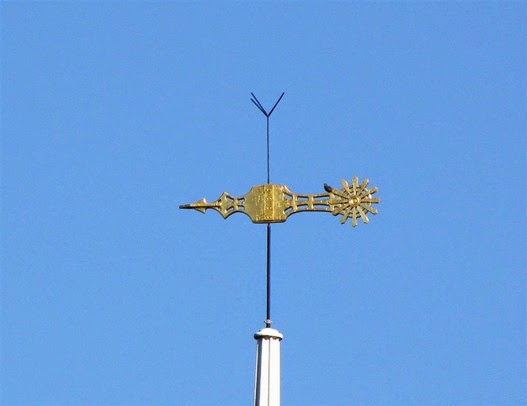 IMG_4986 (Medium)