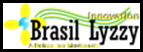 logo brasillyzzy new