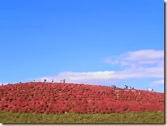 DSCN0173