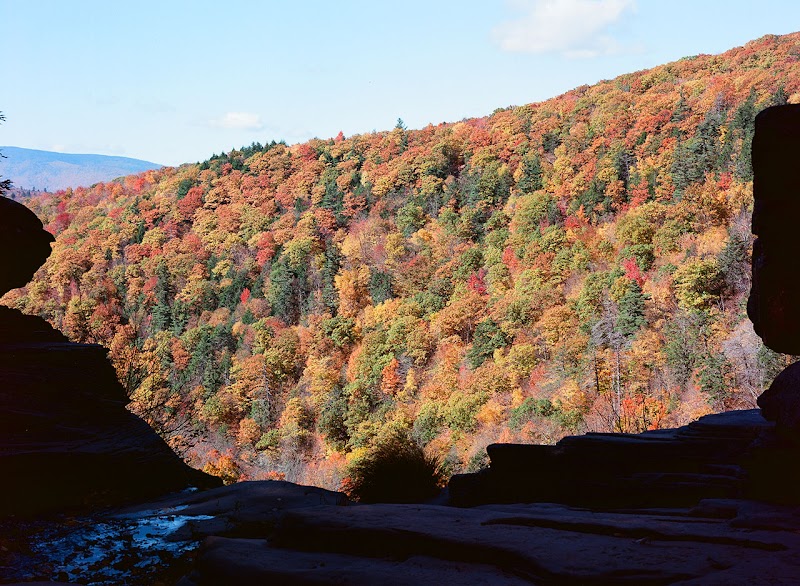 Escape to the Catskills (on Film)