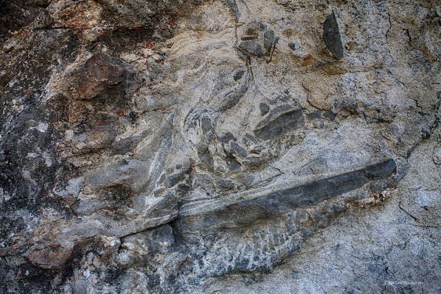 City of Rocks National Reserve Idaho geology travel field trip copyright rocdoctravel.com