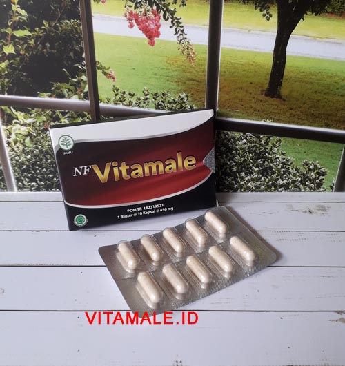 <br/>Toko NF-Vitamale Original di Pangandaran WA : 0821.3322.3939<br/>